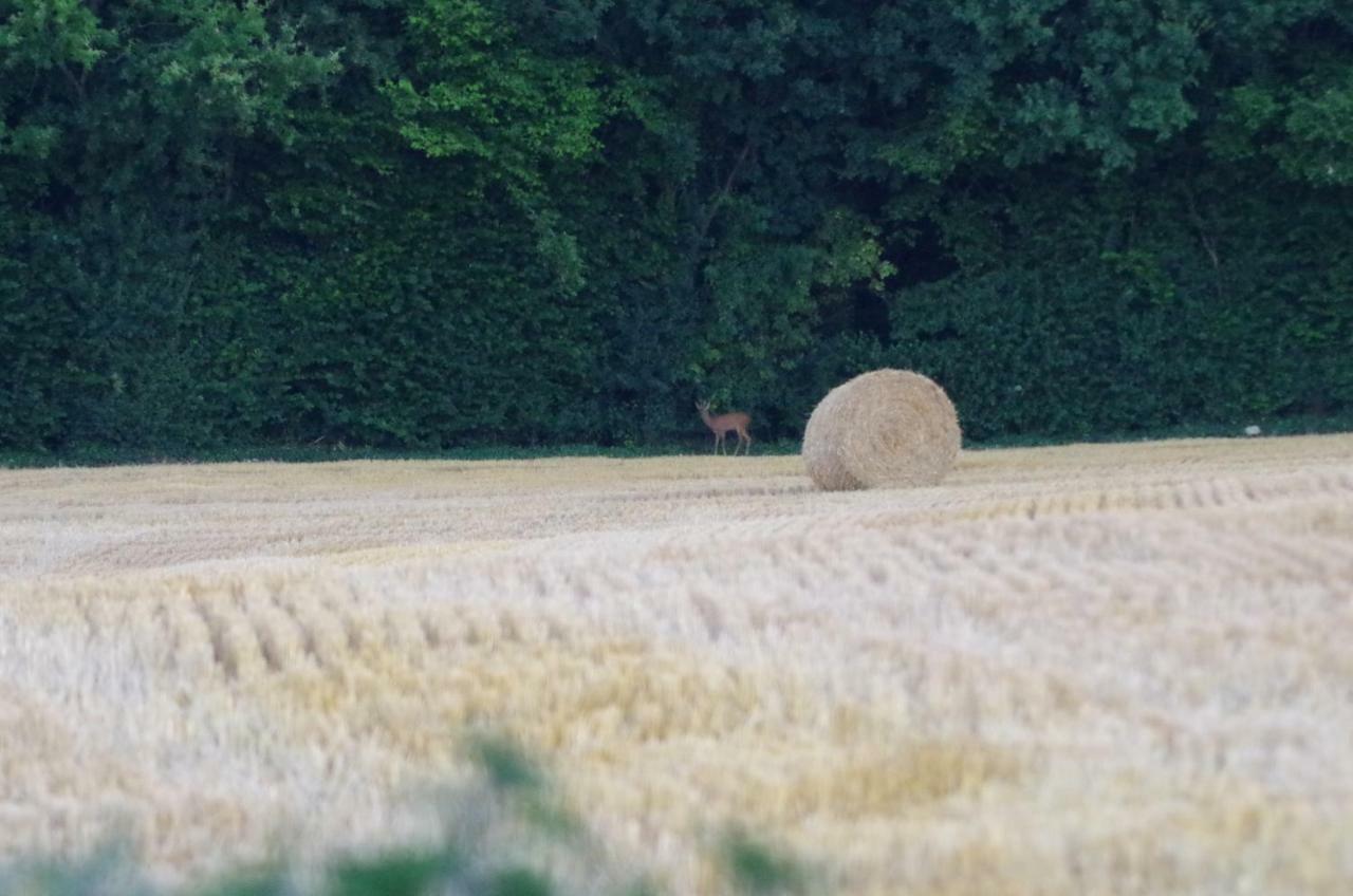 Willa Au Grain D'Orge Echire Zewnętrze zdjęcie
