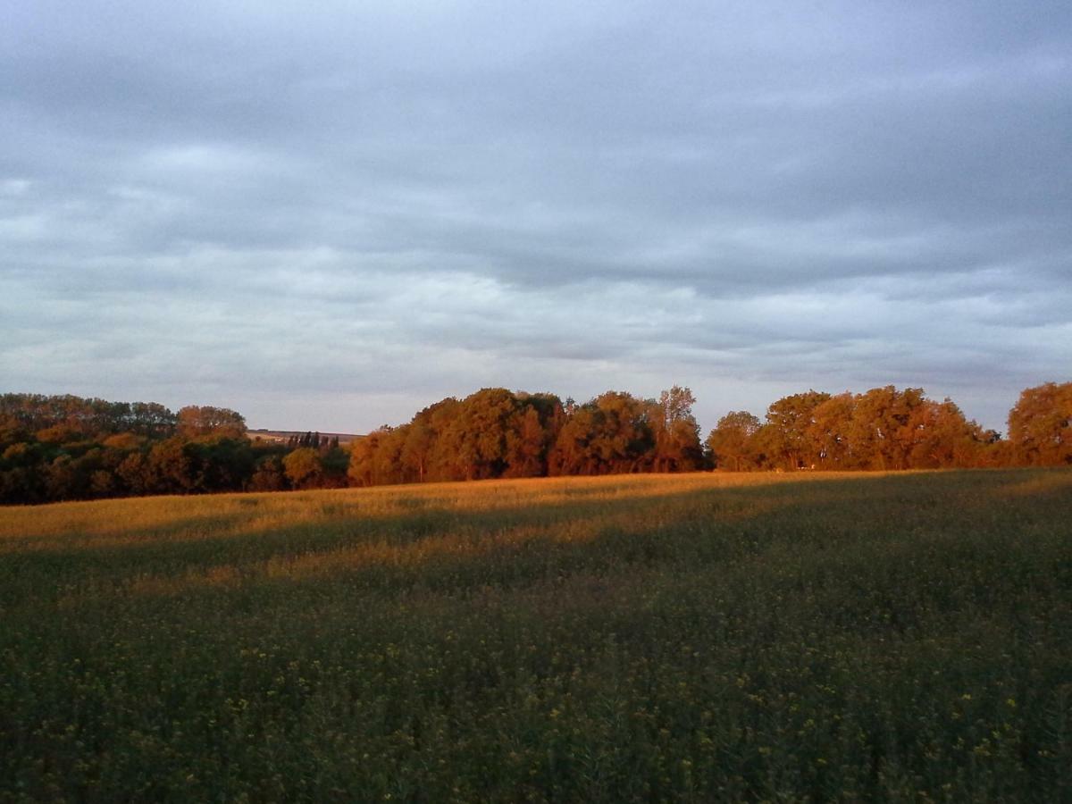Willa Au Grain D'Orge Echire Zewnętrze zdjęcie